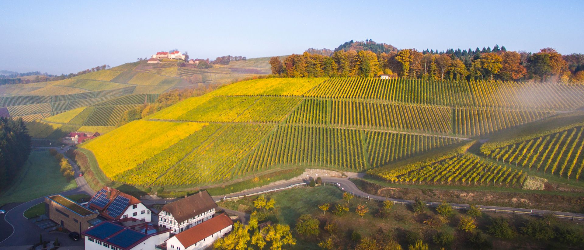 Schwarzwald.Wein.Gut Andreas Männle - Weinparadies Ortenau