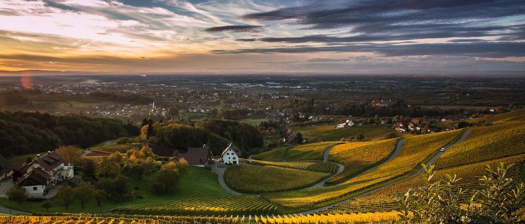 Sasbach Weinparadies Ortenau