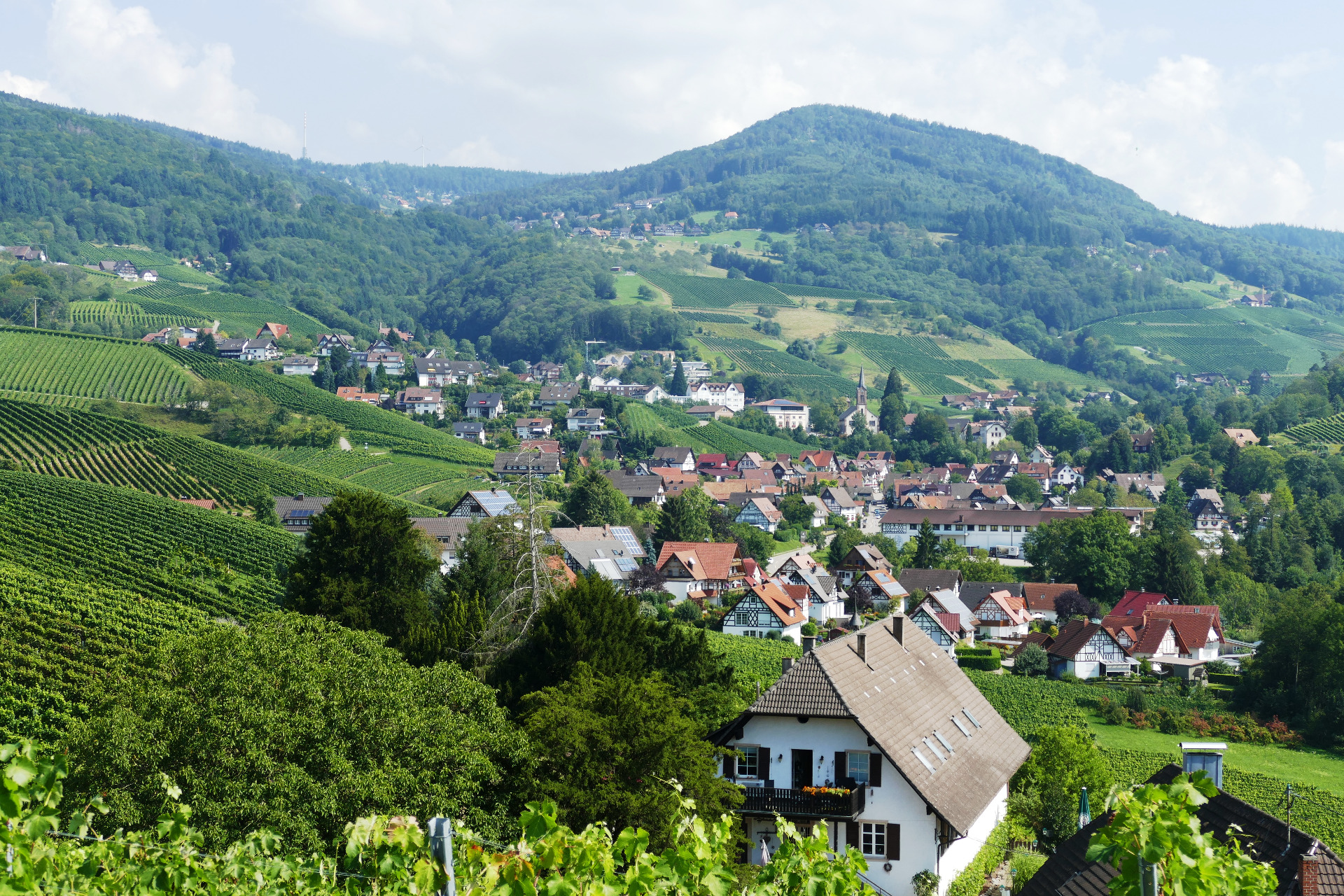 Sasbachwalden - Weinparadies Ortenau